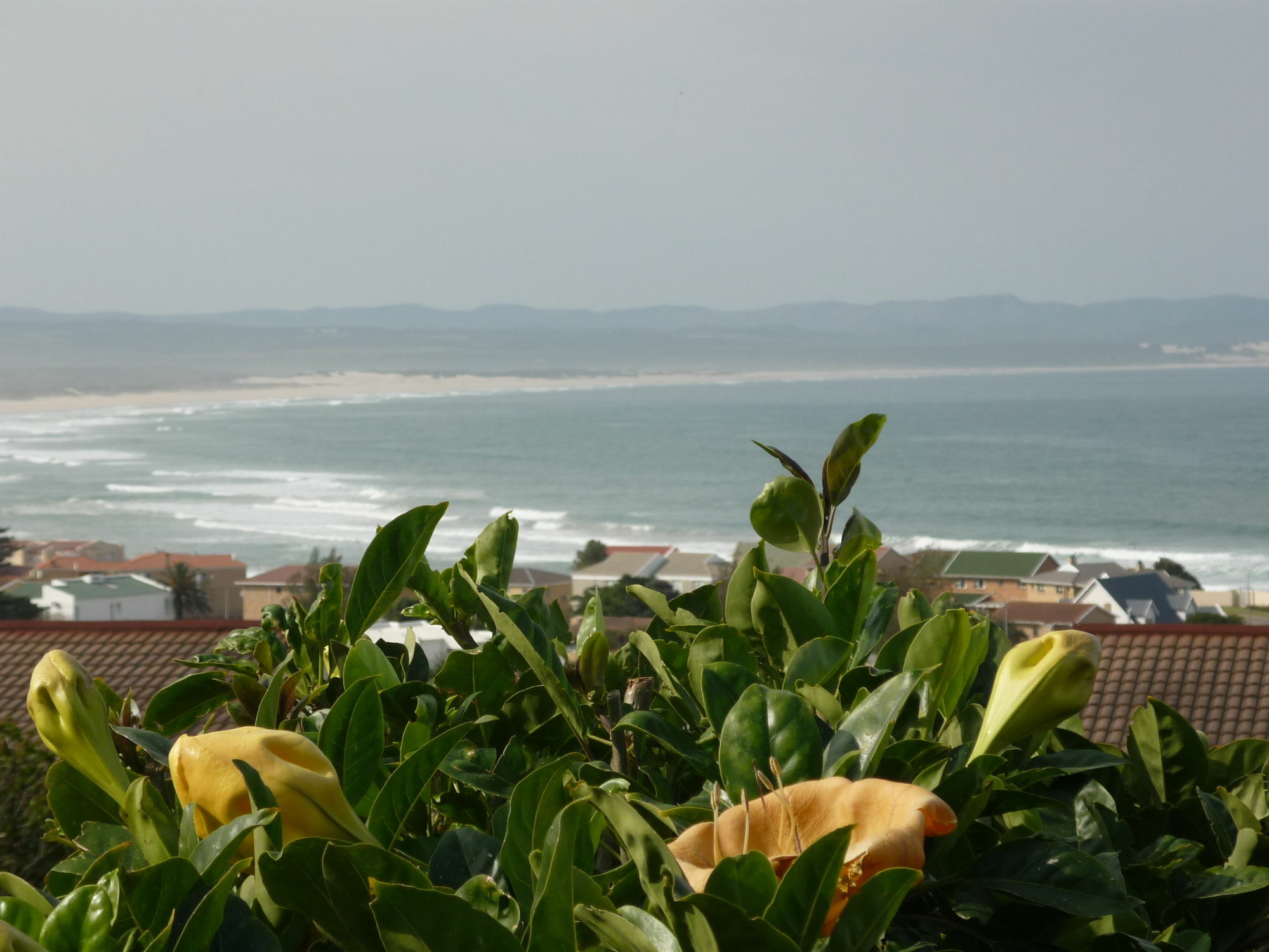 A1 Kynaston Self Catering Or Bed And Breakfast Jeffreys Bay Exterior foto
